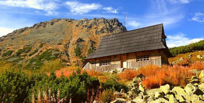 A3Apartament 2 Pokojowy Aneks Kuchenny 2 Lazienki Wlasne Na Korytarzu Villa Jumper Pobyt Na Termach Dla 2 Osob Gratis Zakopane Exterior foto