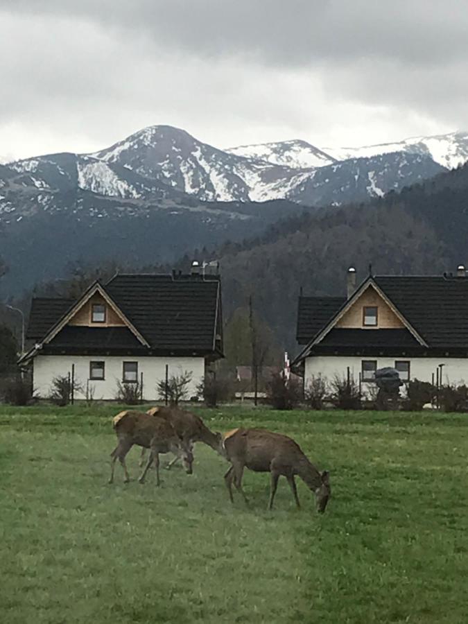A3Apartament 2 Pokojowy Aneks Kuchenny 2 Lazienki Wlasne Na Korytarzu Villa Jumper Pobyt Na Termach Dla 2 Osob Gratis Zakopane Exterior foto