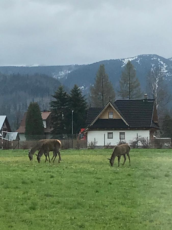 A3Apartament 2 Pokojowy Aneks Kuchenny 2 Lazienki Wlasne Na Korytarzu Villa Jumper Pobyt Na Termach Dla 2 Osob Gratis Zakopane Exterior foto